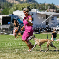 _KC_3106 (2)